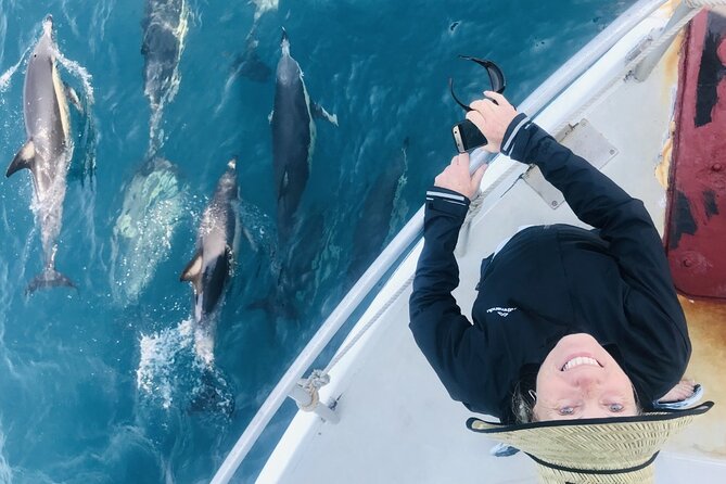 Dolphin & Wildlife Encounters - Watching for dolphins beside the boat