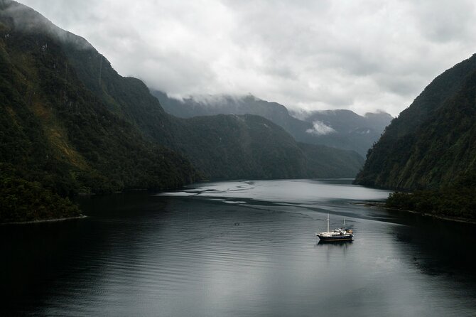 Doubtful Sound Overnight Cruise - Wildlife in its own setting