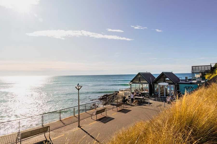 Dunedin: 3 Hour Artisan Food Walking Tour - Five things to know before you book