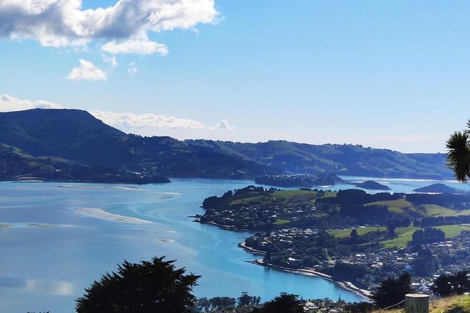 Dunedin City and Coastal Views 3-Hour Small-Group Guided Tour - University of Otago adds local character