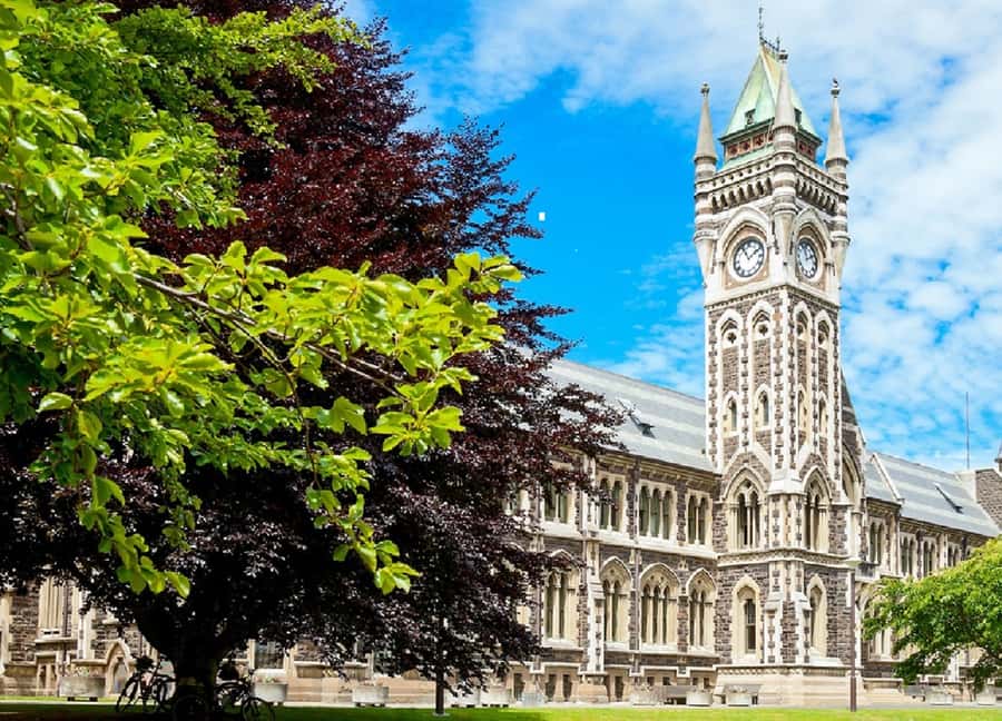 Dunedin City & Coastal Views 3-Hour Small-Group Tour - Key points to know before booking