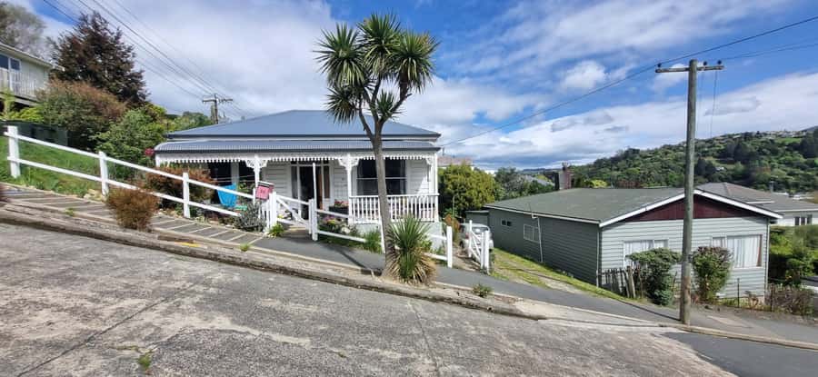 Dunedin City & Coastal Views 3-Hour Small-Group Tour - Why this short Dunedin tour works