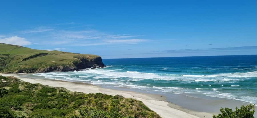 Dunedin City & Coastal Views 3-Hour Small-Group Tour - Dunedin Railway Station earns its nickname