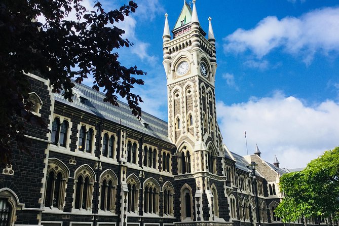 Dunedin City Highlights, Otago Peninsula Scenery & a Guided Penguin Reserve Tour - A useful six-hour introduction to Dunedin