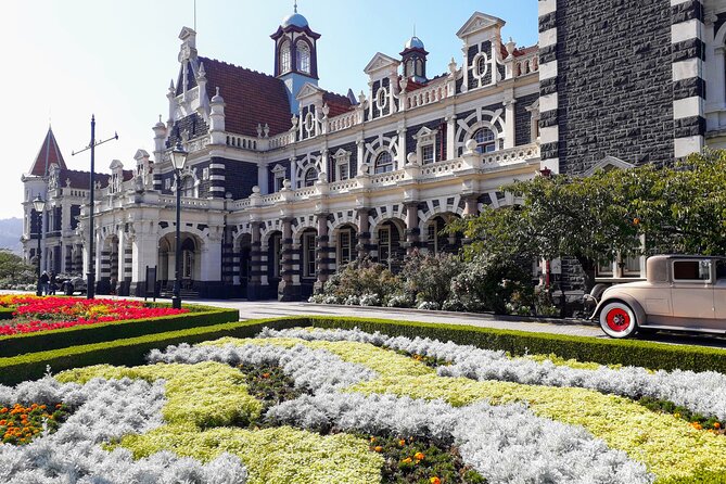 Dunedin City Highlights, Otago Peninsula Scenery & a Guided Penguin Reserve Tour - What the penguin reserve really offers