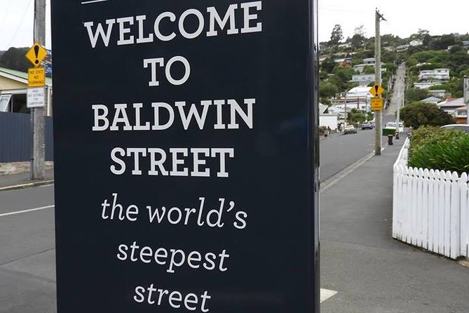 Dunedin City Highlights, Otago Peninsula Scenery & Albatross Guided Tour - Why this tour works for a first look at Dunedin