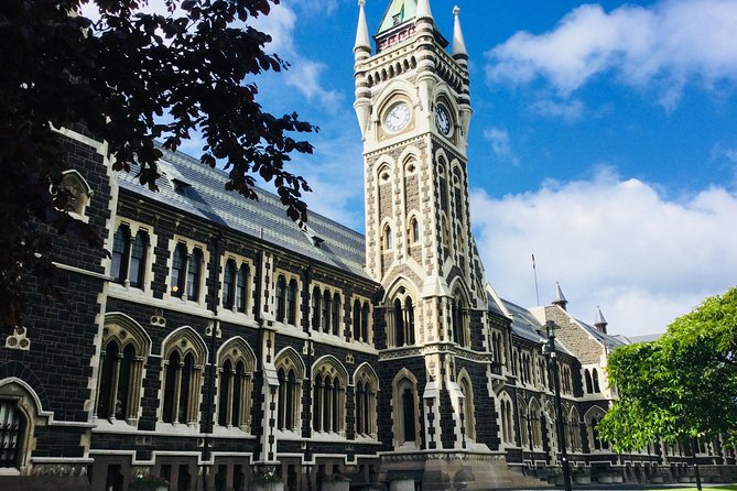 Dunedin City Highlights, Otago Peninsula Scenery & Albatross Guided Tour - Portobello Road and Highcliff: the best part of the drive