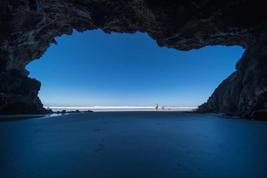 Dunedin City & Otago Peninsula Scenery Day Tour - What to bring and who should choose it