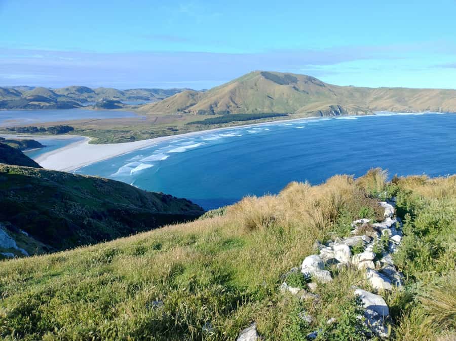 Dunedin City & Otago Peninsula Scenery Day Tour - Sir Leonard Wright Lookout and the road toward Sandfly Bay