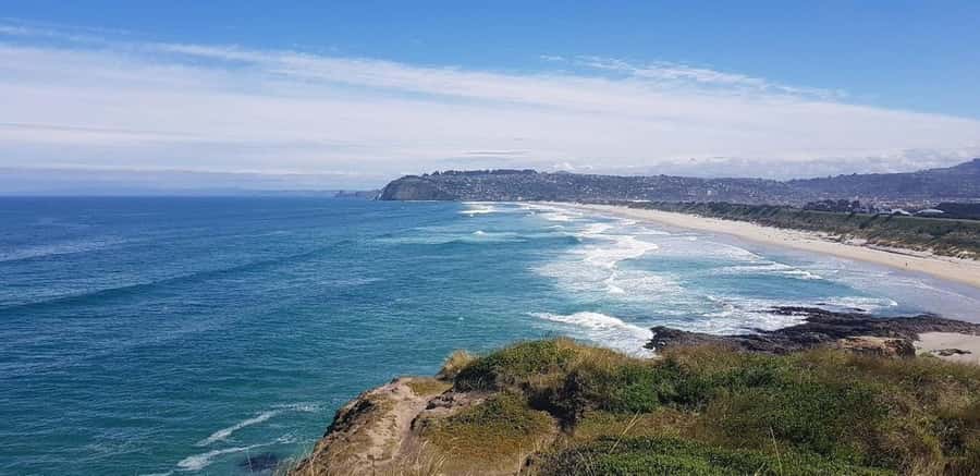 Dunedin City & Otago Peninsula Scenery Day Tour - Returning through Dunedin, with two ways to finish