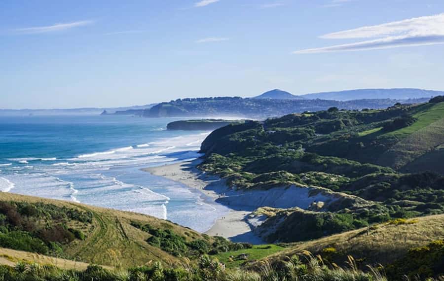Dunedin City & Otago Peninsula Scenery Day Tour - Guides, minibus comfort, and the feel of the day