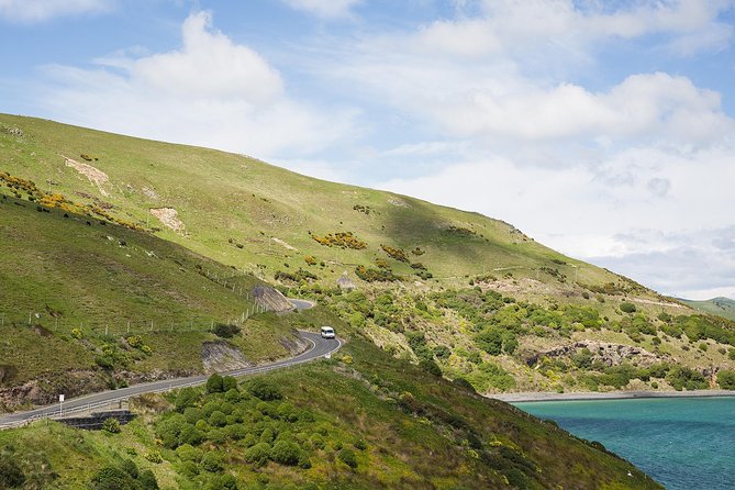 Dunedin City to Sea Wildlife Cruise + Peninsula Bus Tour - Is $74.47 a fair price?