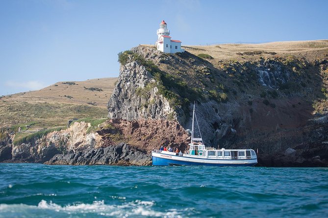 Dunedin City to Sea Wildlife Cruise + Peninsula Bus Tour - Searching for seals, dolphins, and seabirds