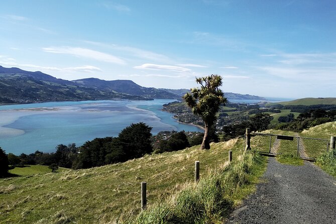 Dunedin City, Wildlife and Larnach Castle - Sandfly Bay and the coast beyond the castle