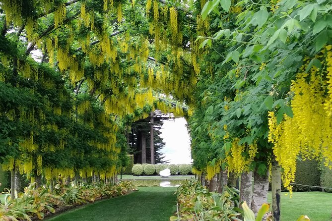 Dunedin City, Wildlife and Larnach Castle - Transport, guide quality, and pace