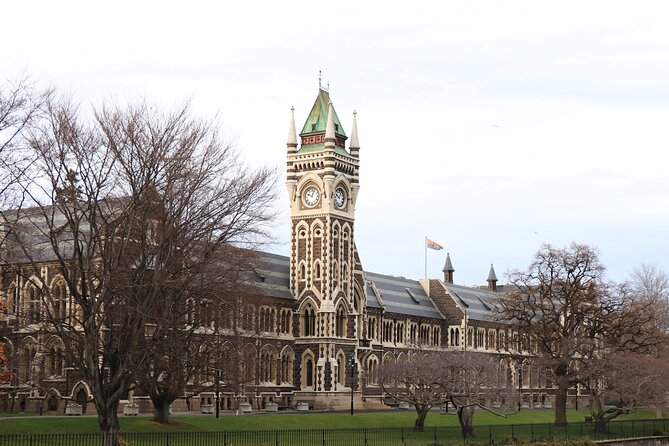 Dunedin City, Wildlife and Larnach Castle - Baldwin Street and the first look at Dunedin