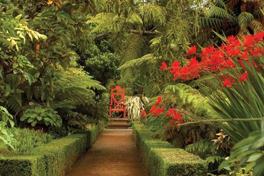 Dunedin: Larnach Castle & Gardens Admission Ticket - Key points to know before you go