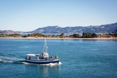 Monarch – One Hour Wildlife Cruise