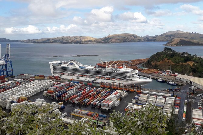 Dunedin Nature & City Tour – Full Day Cruise Excursion - The Octagon and Dunedin’s city center