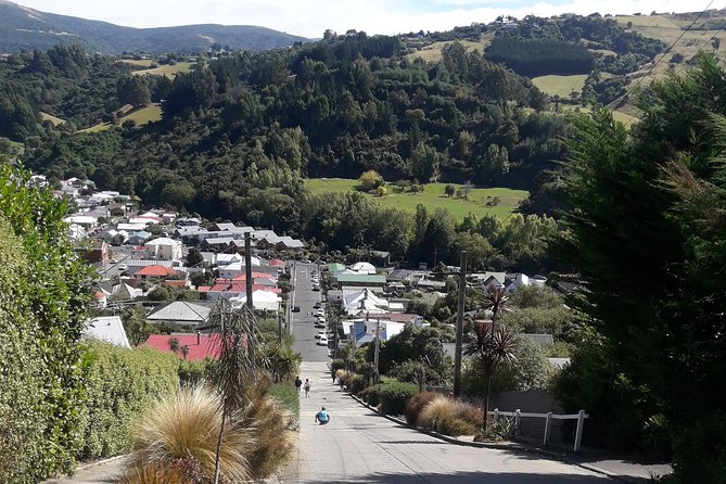 Dunedin Nature & City Tour – Full Day Cruise Excursion - Mount Cargill and the high views
