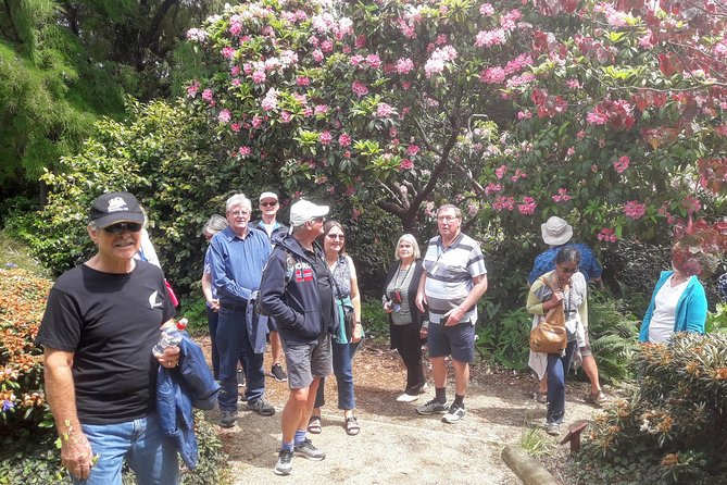 Dunedin Nature & City Tour – Full Day Cruise Excursion - Orokonui and the road into the countryside