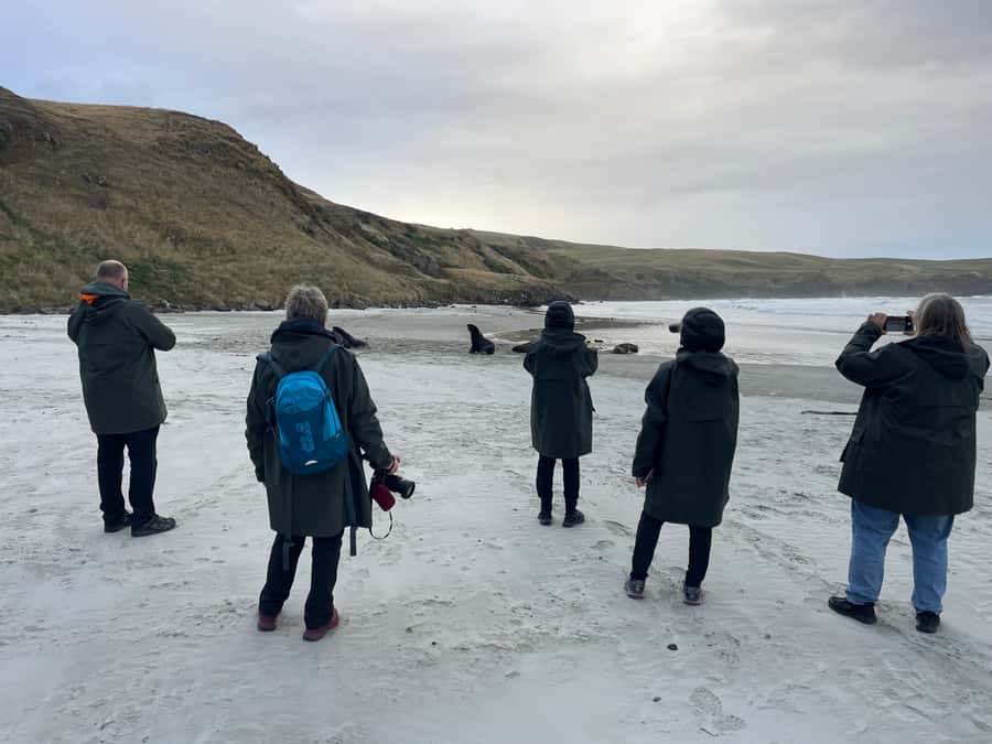 Dunedin: Otago Peninsula Clearwater Wildlife Tour - Walking into the yellow-eyed penguin habitat