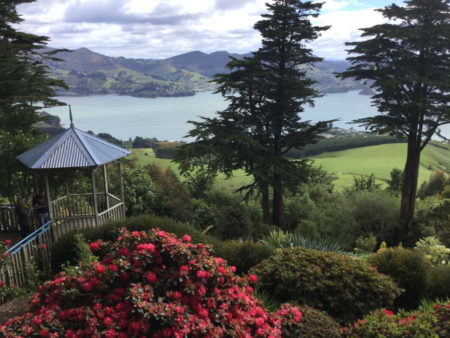 Dunedin: Peninsula with Lanarch Castle gardens & Olveston - Views over Dunedin and a walk in the Upper Botanic Garden