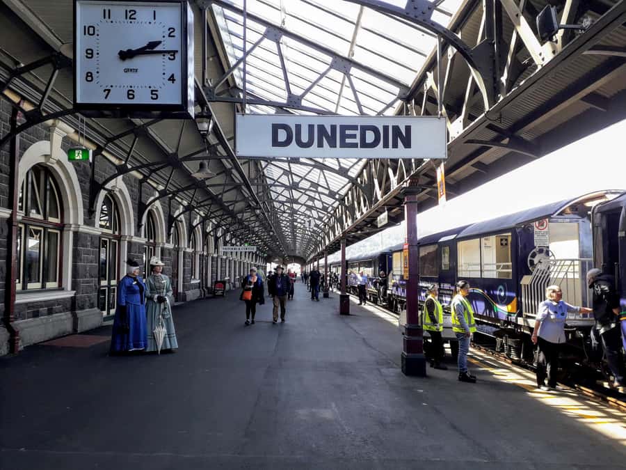 Dunedin: Peninsula with Lanarch Castle gardens & Olveston - Who should book this experience?
