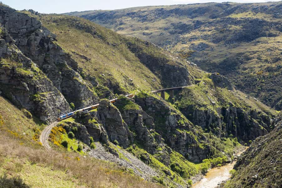 Dunedin: Scenic Railway Tour Through the Taieri Gorge - Using the viewing platform for photographs