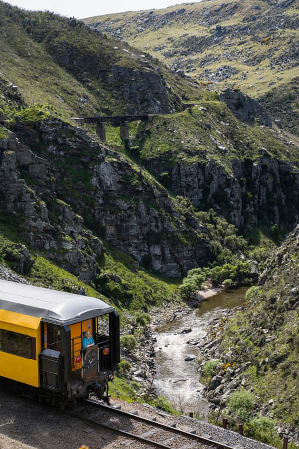 Dunedin: Scenic Railway Tour Through the Taieri Gorge - Food and drinks from the Precinct café