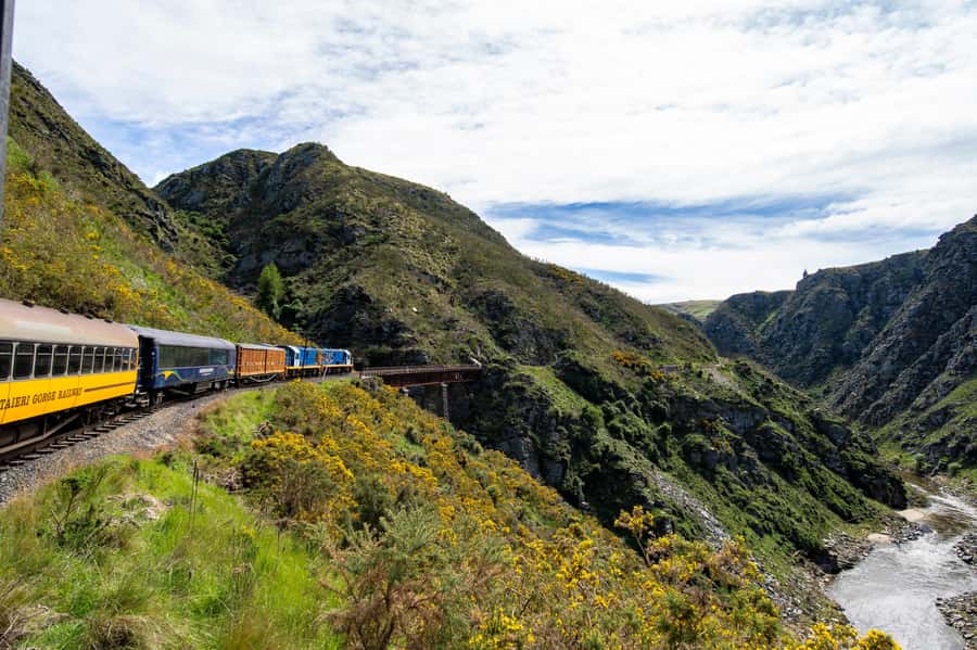 Dunedin: Scenic Railway Tour Through the Taieri Gorge - Is $95 good value?