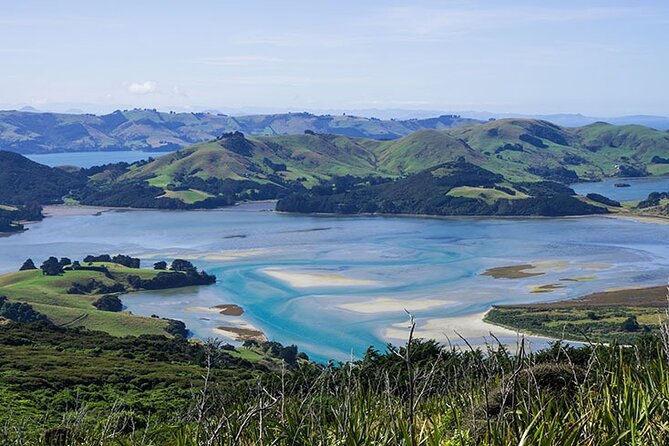 Dunedin Shore Excursion City Sightseeing & Tour of Larnach Castle - Is $108.60 a fair price?