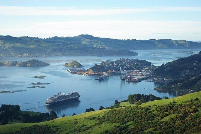 Dunedin Shore Excursion - Sightseeing, Larnach Castle, Chinese Garden & Museum - Returning to Dunedin for the Chinese Garden