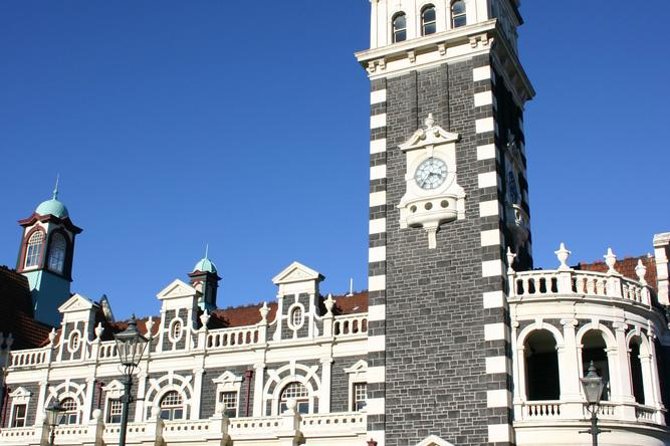 Dunedin Shore Excursion: Small-Group Tour of Dunedin and the Otago Peninsula - From Port Chalmers to Dunedin in a small group