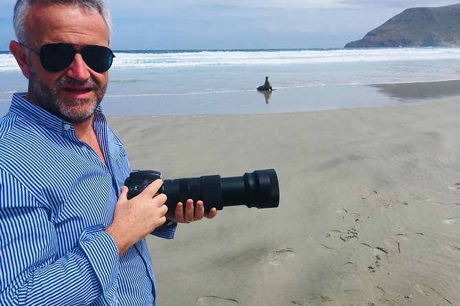 Dunedin Shore Excursion: Small-Group Tour of Dunedin and the Otago Peninsula - A 20-minute beach walk with wild sea lions