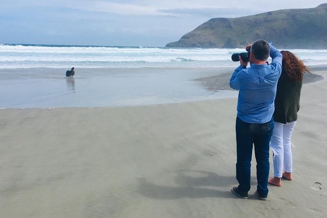 Dunedin Shore Excursion: Small-Group Tour of Dunedin and the Otago Peninsula - Baldwin Street and Dunedin’s quick city highlights