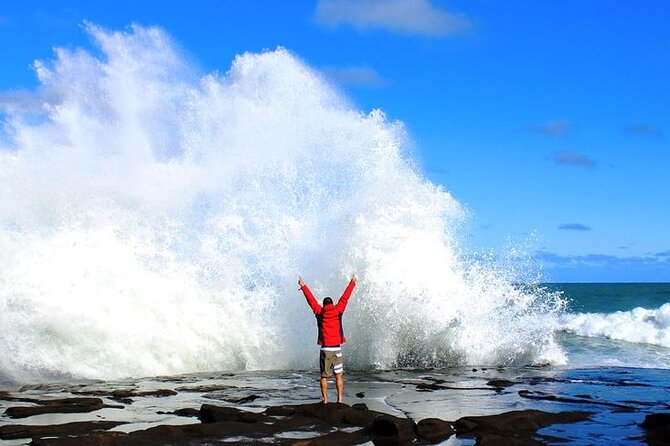 Dunedin to Te Anau via the Catlins One Way Small Group Tour - Key points at a glance