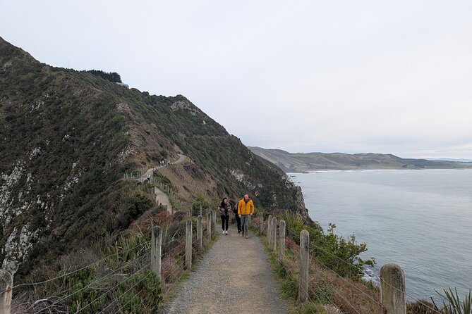 Dunedin to Te Anau via the Catlins One Way Small Group Tour - What the $179.97 price really buys