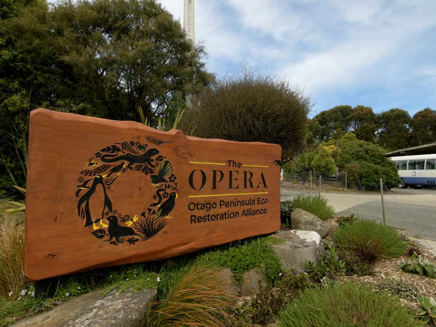 Dunedin: Wildlife and Penguin Tour - The theatre presentation sets the scene