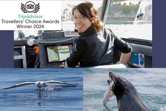 Dunedin Wildlife Cruise-Albatross, seals and harbour - Port Chalmers or Portobello: choose your starting point carefully