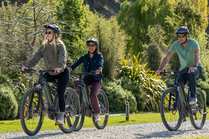 E-Bike Adventures Through the Wineries in Gibbston - The E-Bikes, Group Size, and Physical Effort