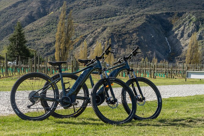 E-Bike Adventures Through the Wineries in Gibbston - Gold-Mining Relics and Historic Stops