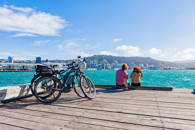 Easy Rider Two-Hour Wellington eBike Tour - Meeting Solace in the Wind