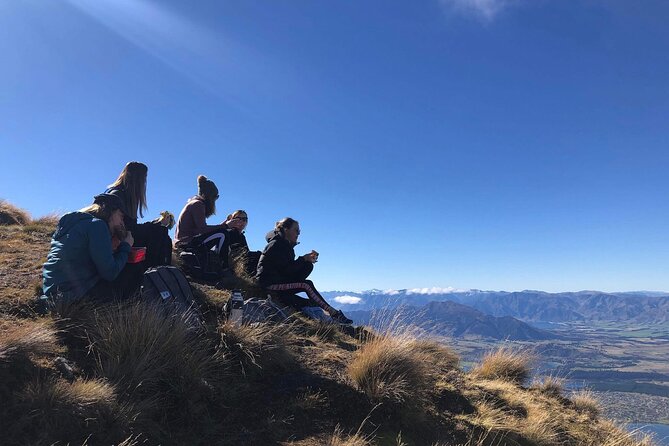 ebike tour lake Hawea river track to Wanaka - Coffee, pastries, and the sensible finish