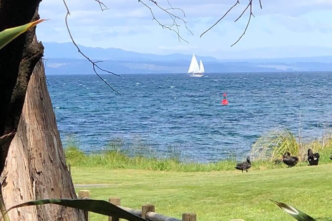 Eco Sailing Tour to Maori Rock Carvings on Lake Taupo - Bringing food, drinks, and music onboard