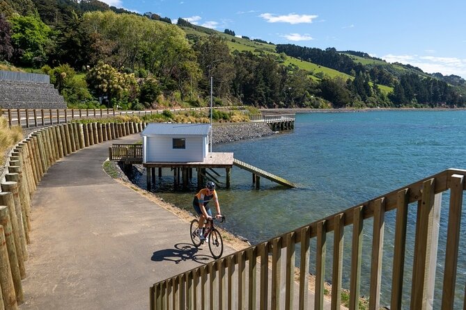 Electric Bike Rental - Building your own Dunedin riding day