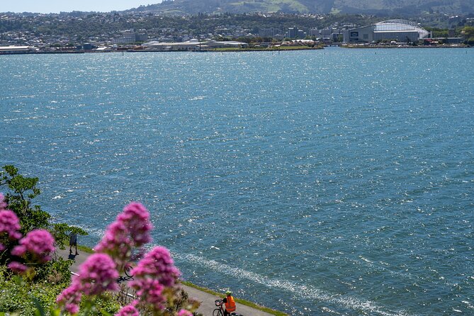 Electric Bike Rental - Harbor riding toward Portobello or Port Chalmers