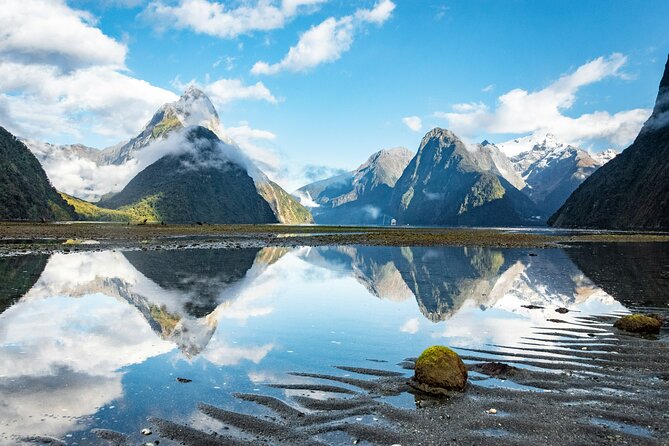 Epic Milford Guided Tour from Te Anau - The Chasm Viewing Bridge and rushing water
