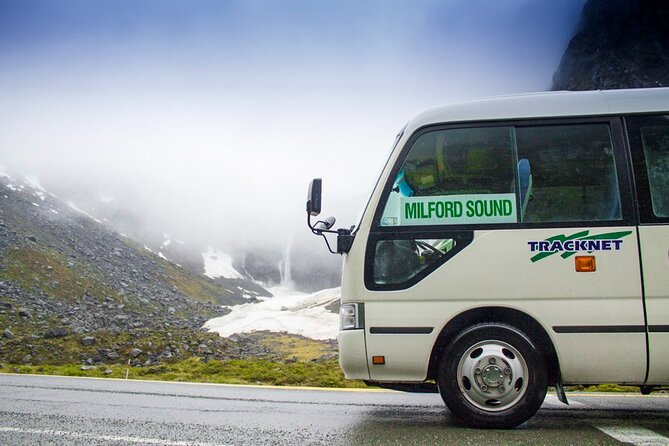 Epic Milford Guided Tour from Te Anau - Monkey Creek and the chance of wildlife