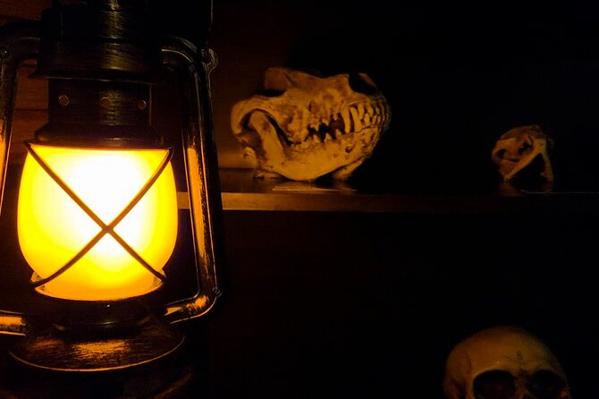 Escape Room Experience Taupo - The Cursed Cabin - Entering Elm Forest and the Cursed Cabin
